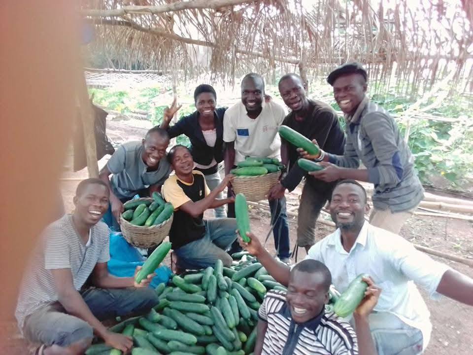 Most profitable crops to farm in Nigeria